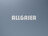 The Allgaier logo is shown. | © Allgaier Process Technology 2022